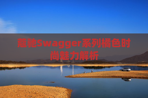 蔻驰Swagger系列橘色时尚魅力解析